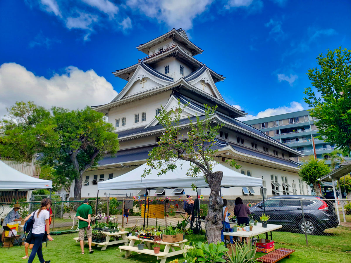 Makiki Christian Church Festival of Thanksgiving 2023-Plant-Sale